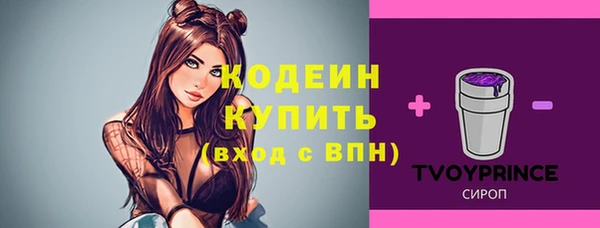 ECSTASY Новозыбков