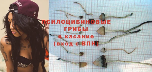 ECSTASY Новозыбков