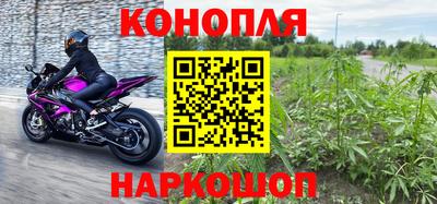 PSILOCYBIN Гусев