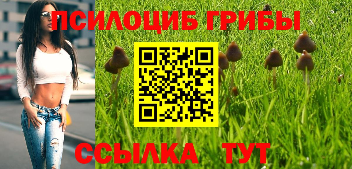 Ртищево  Галлюциногенные грибы Magic Shrooms  Вход с VPN 