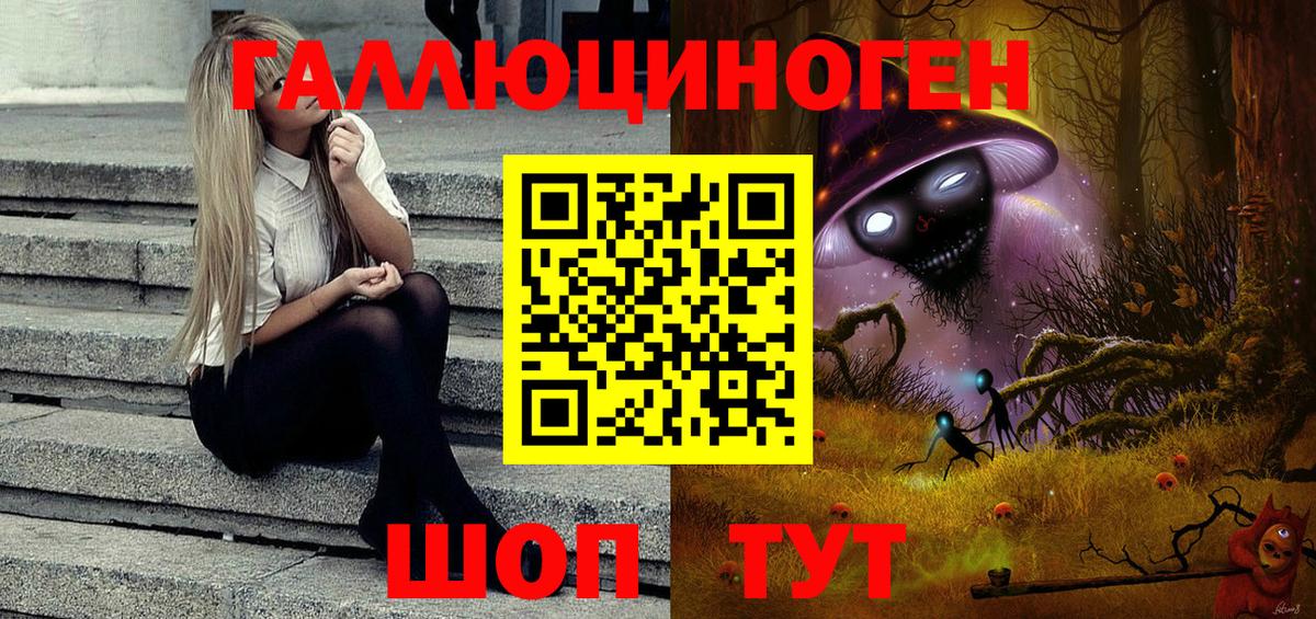 Галлюциногенные грибы Psilocybine cubensis Ртищево