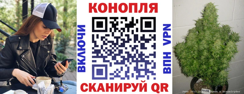 Бошки Шишки VHQ Ртищево